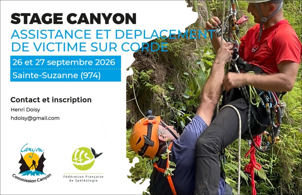 Stage Assistance et Déplacement de Victime sur Corde
